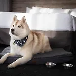 Elk + Avenue Hotel
