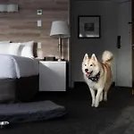 Elk + Avenue Hotel
