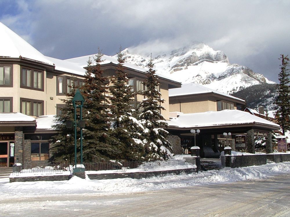 Hotel Elk + Avenue Banff