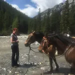 Banff\'S Original Cowboy Bed And Breakfast