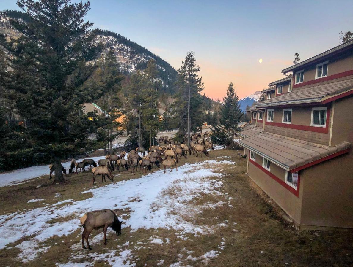 Hi Alpine Centre - Hostel *