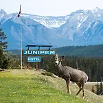 The Juniper Hotel & Bistro