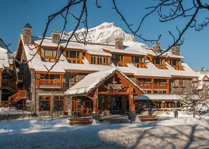 Fox Hotel And Suites