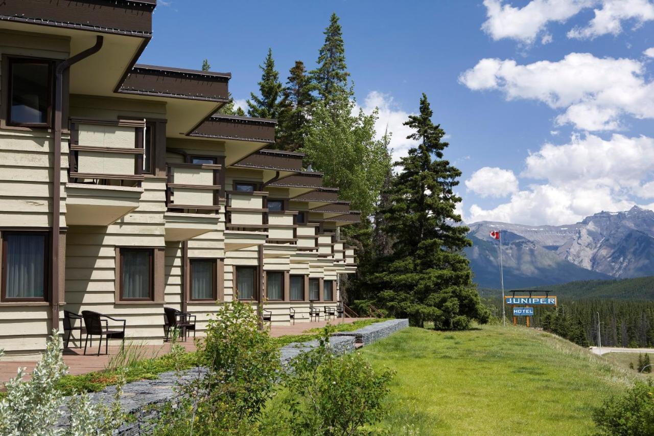 The Juniper & Bistro Hotel