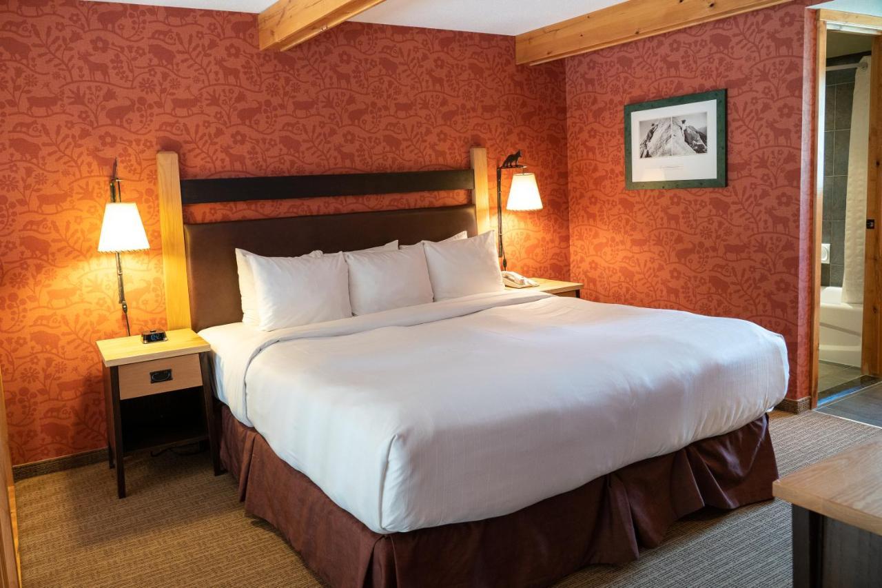 Hotel Fox And 4*