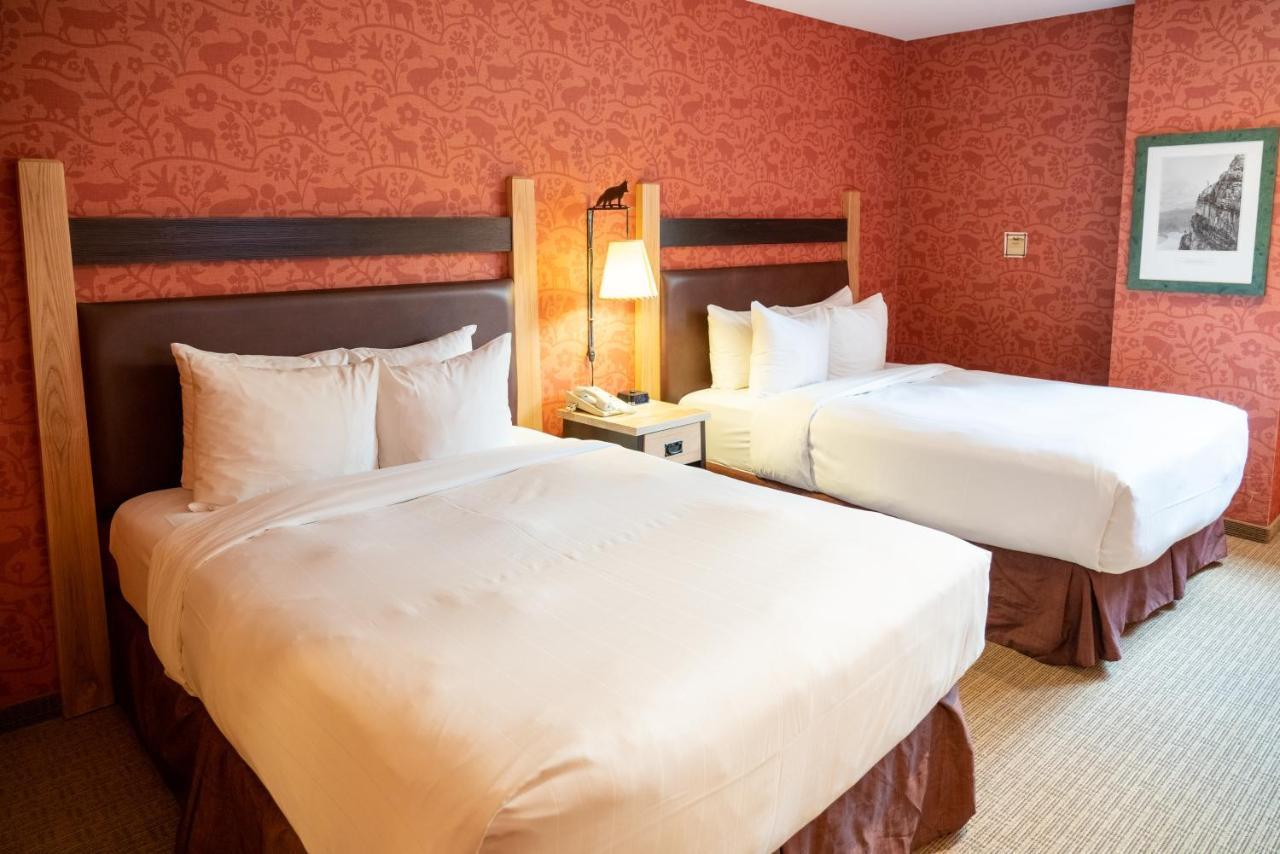 Fox And 4* Banff