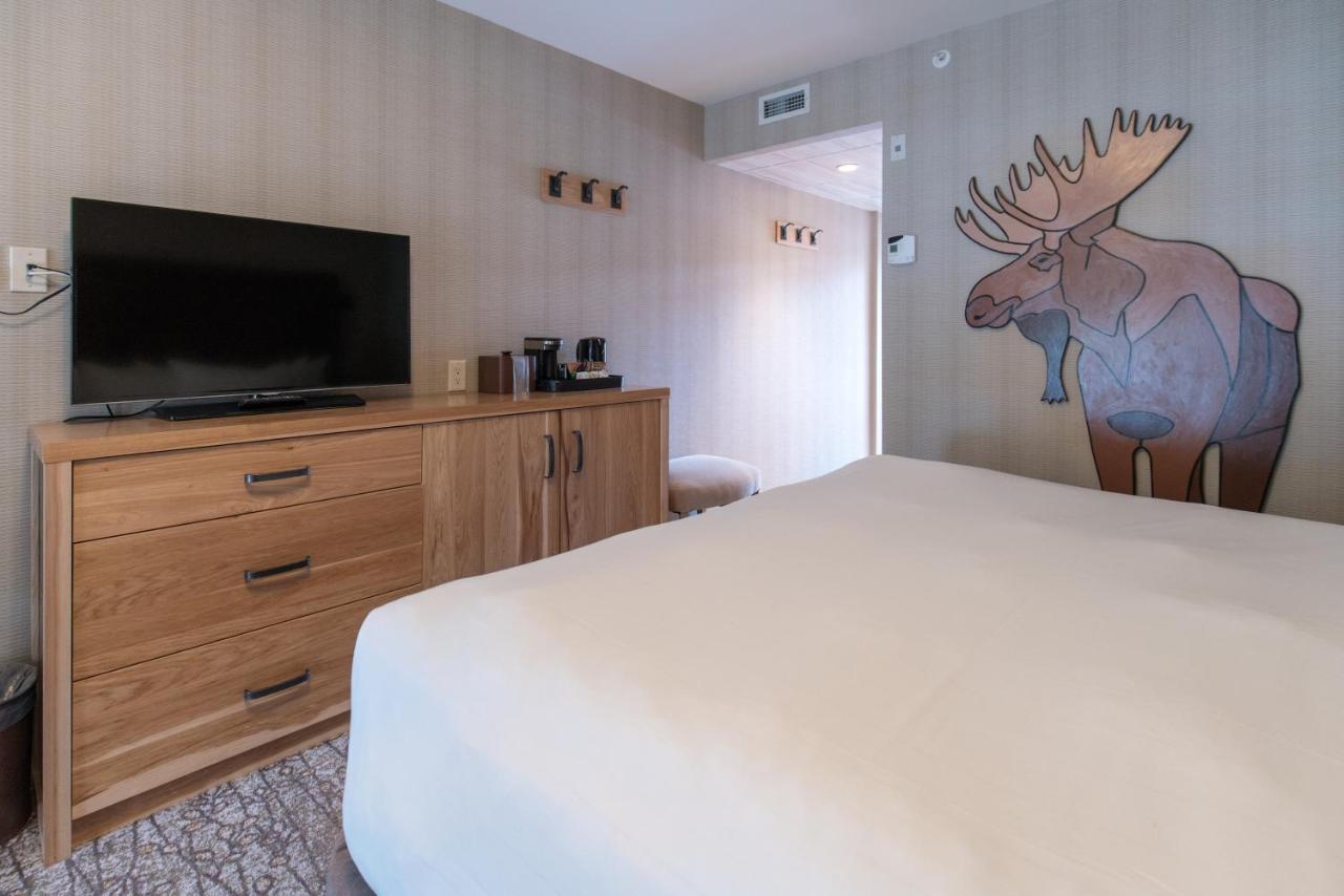 Moose And 4*