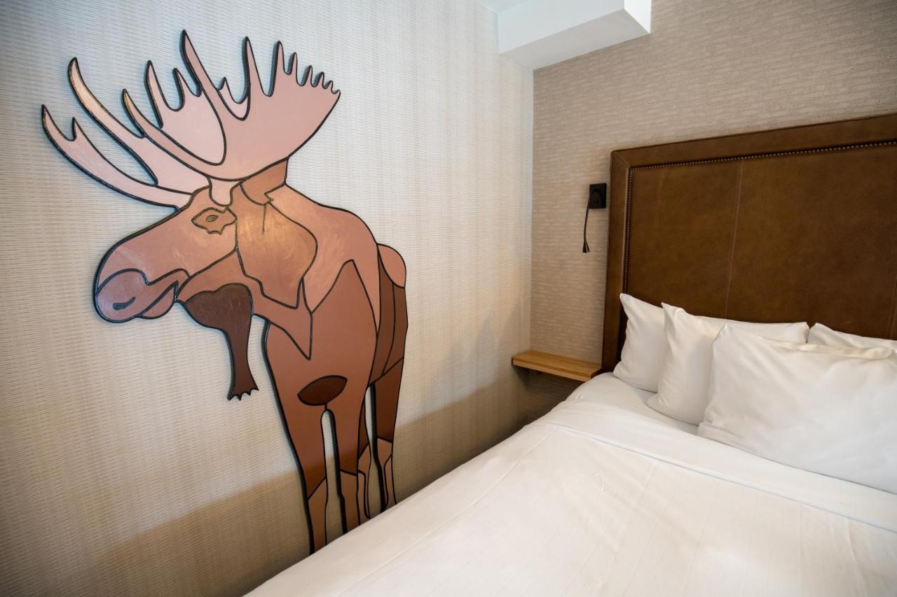 Moose And Hotel Banff
