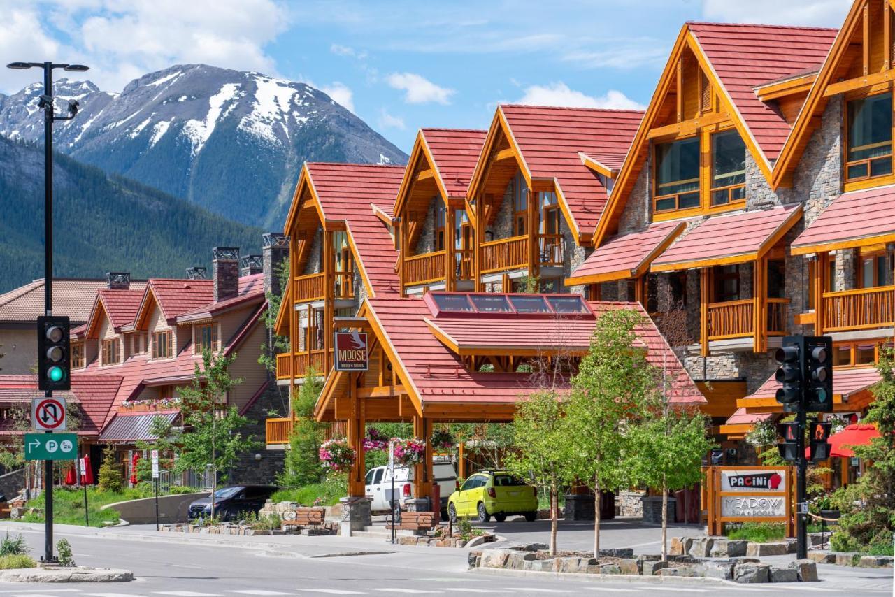 Moose And Hotel