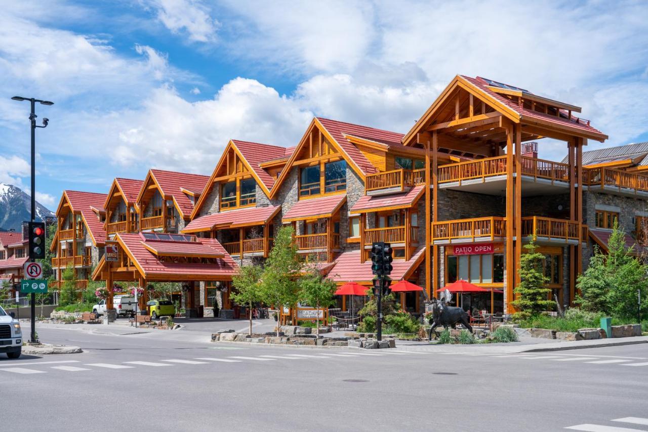 Moose And 4* Banff