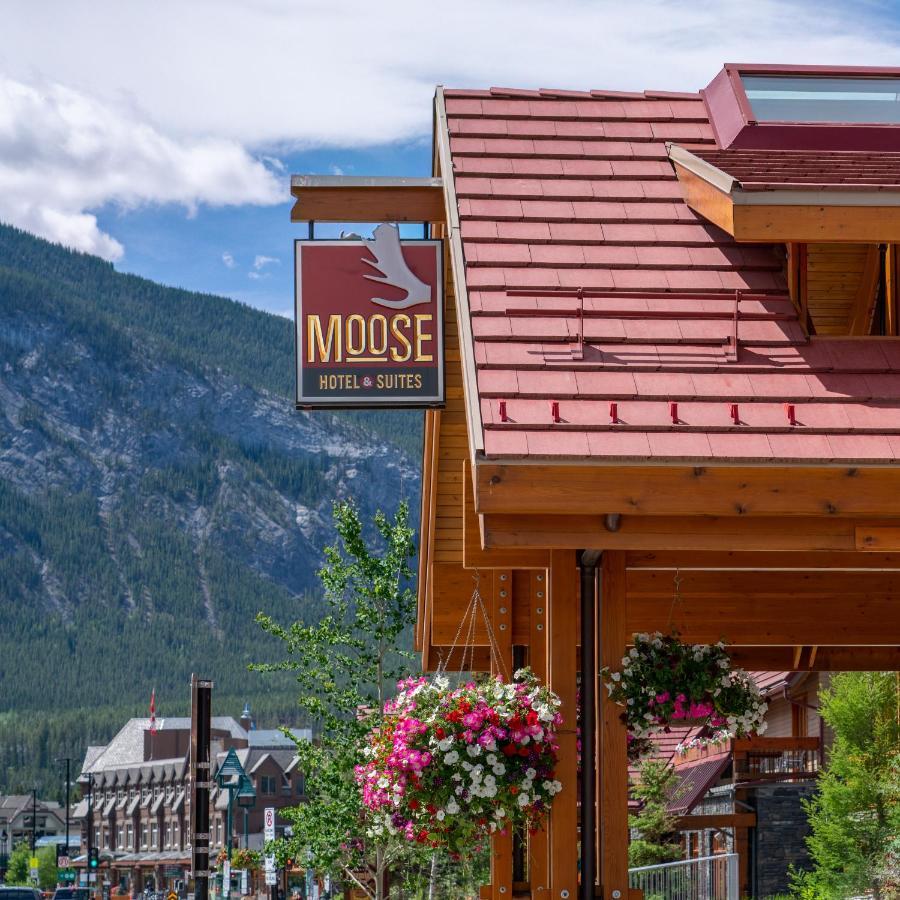 Moose And