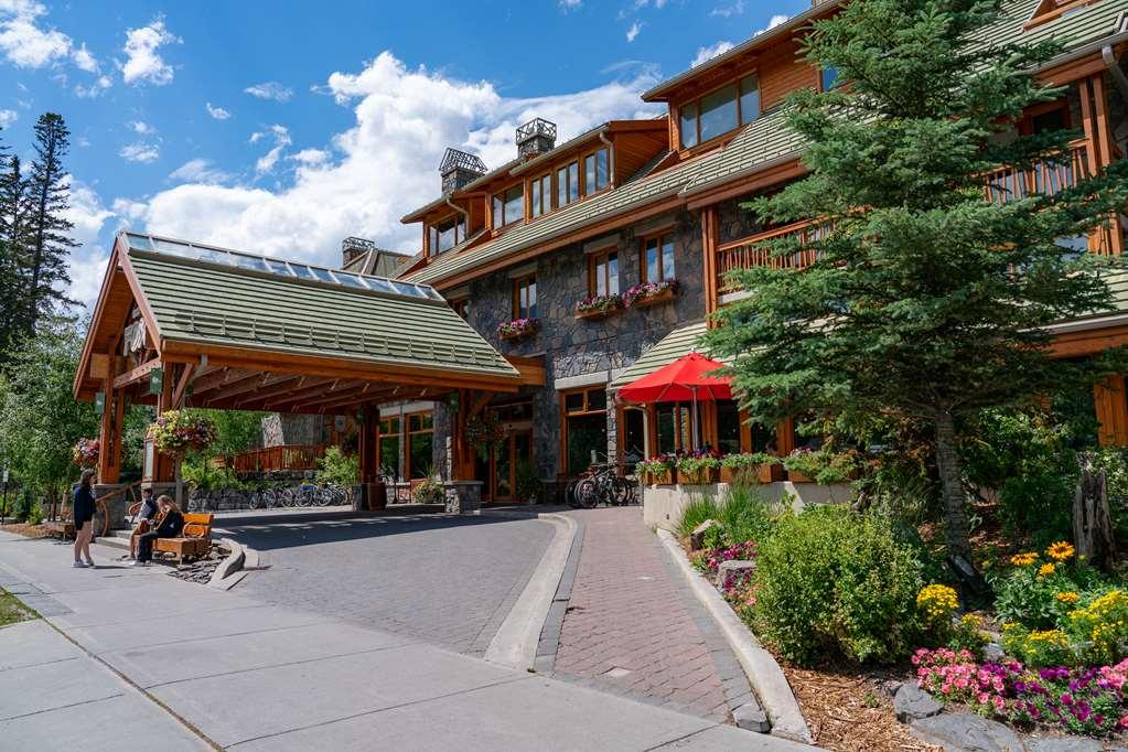 Fox And Hotel Banff