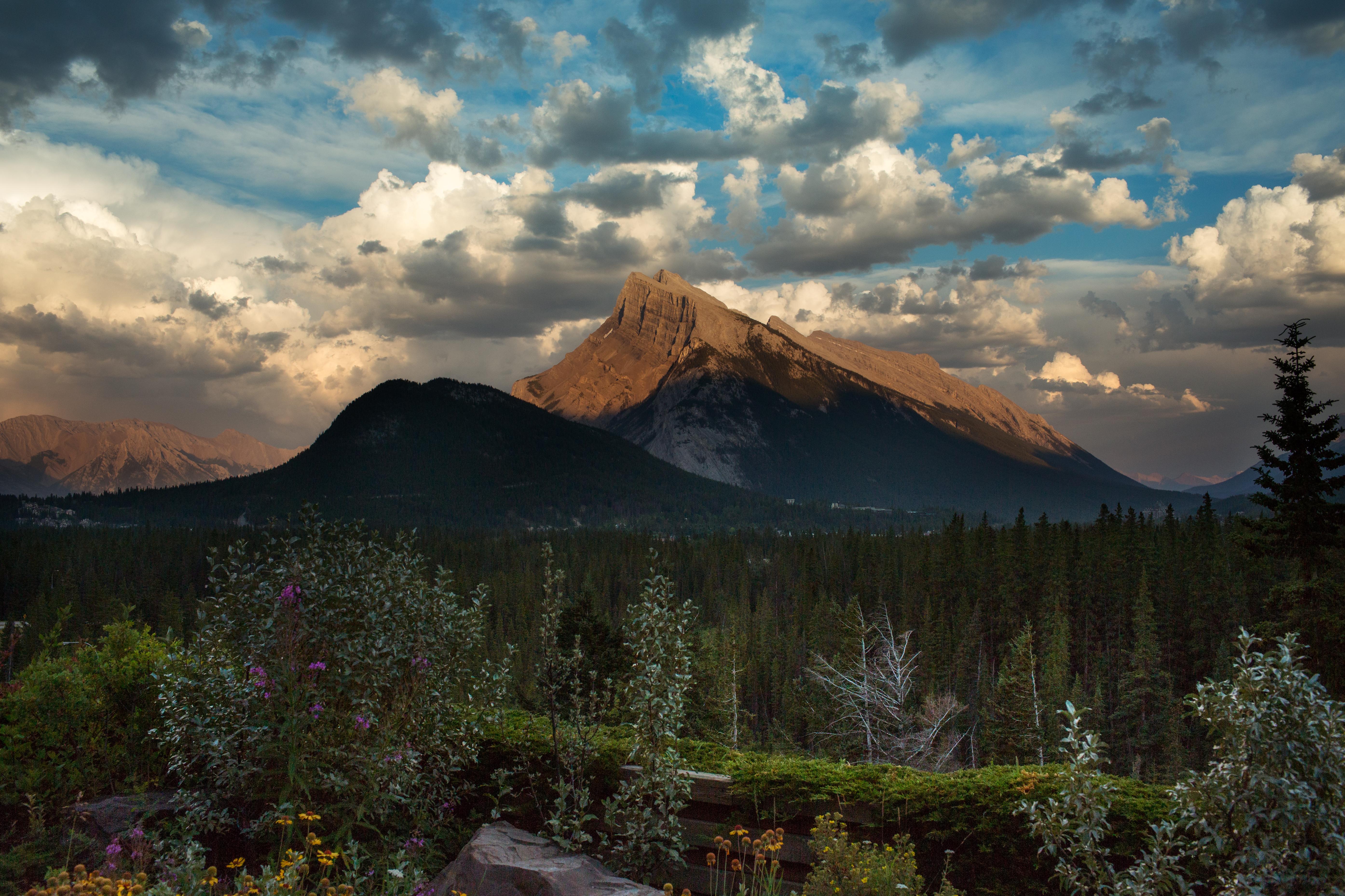 The Juniper & Bistro Banff