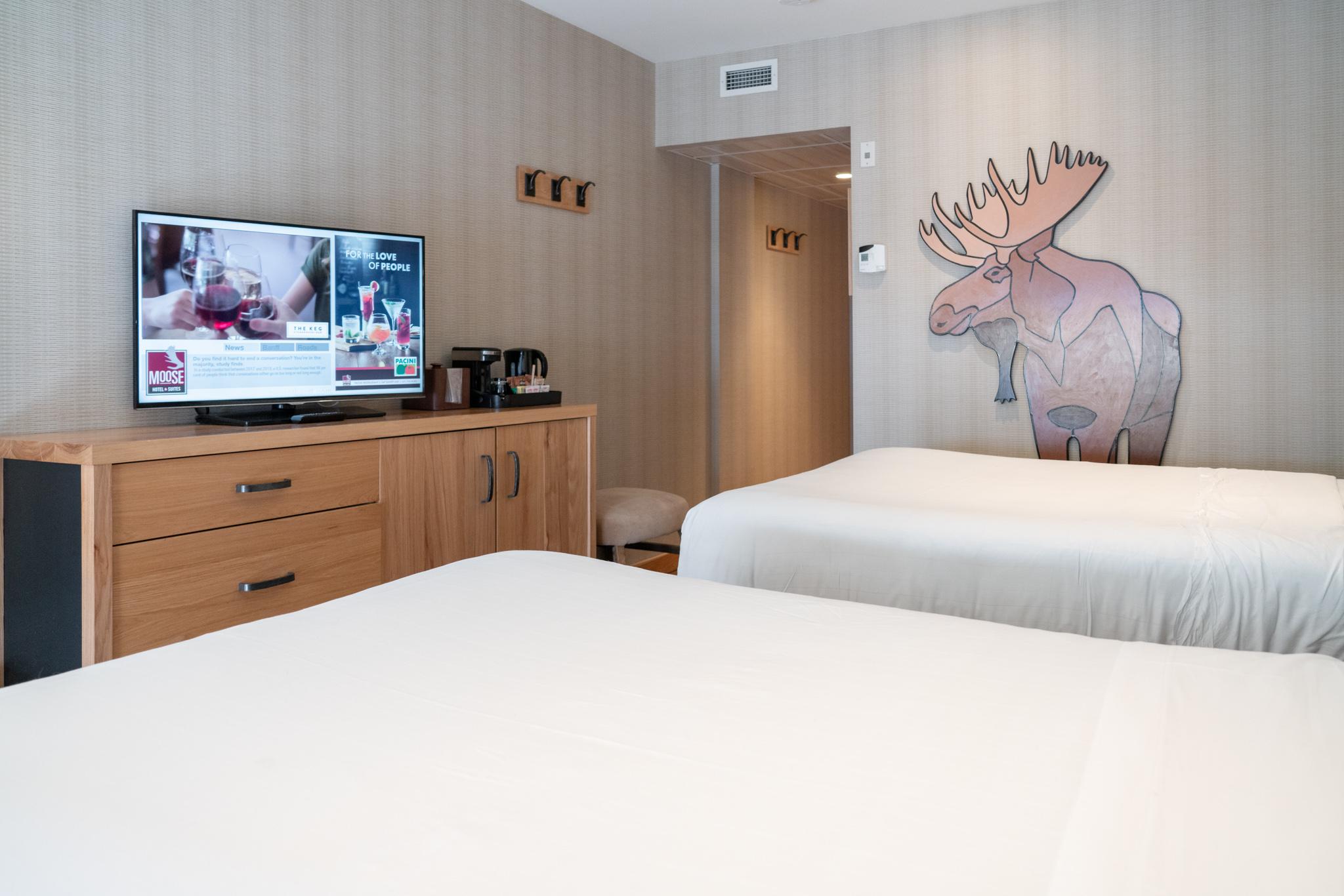 Moose And 4* Banff