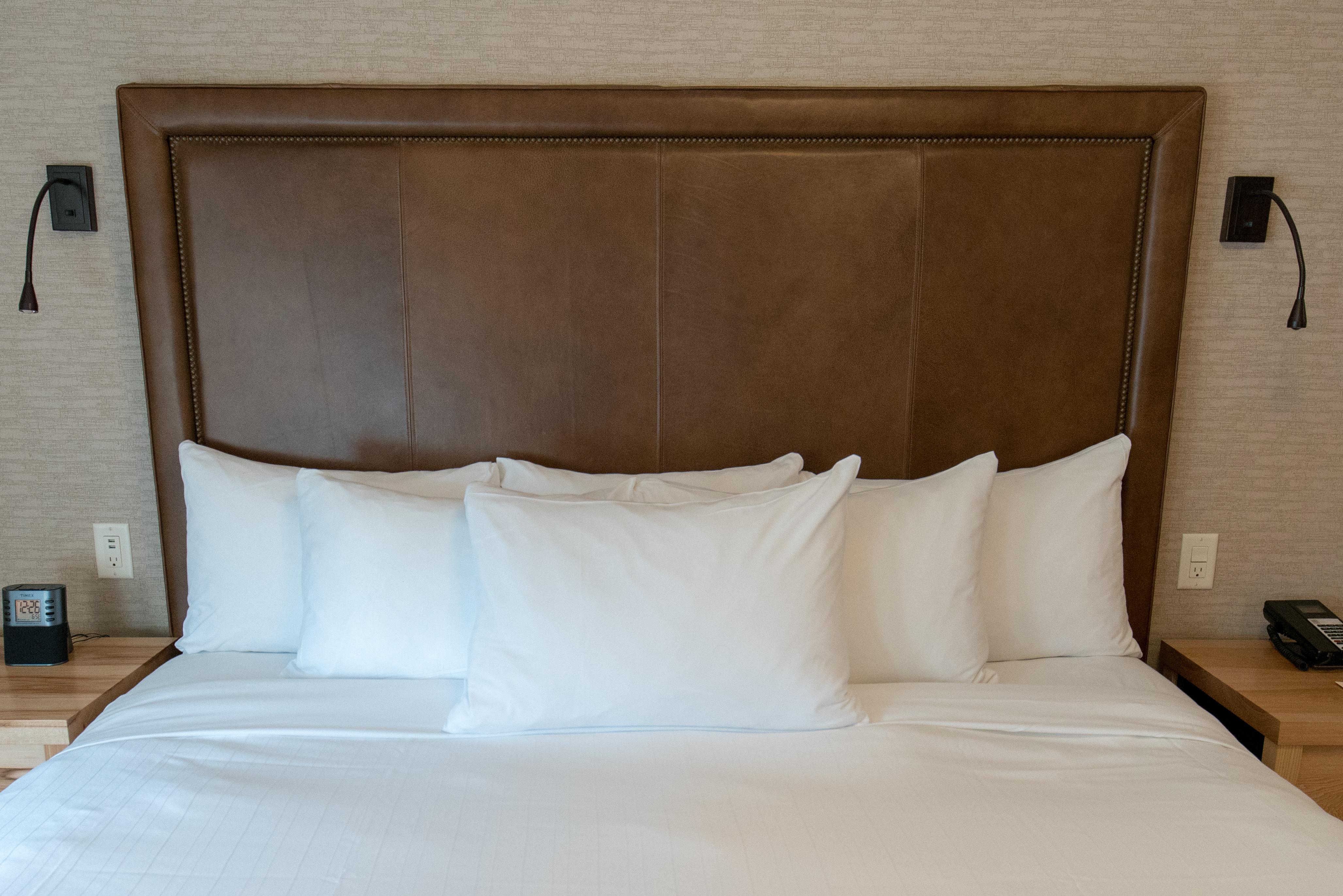 Hotel Moose And