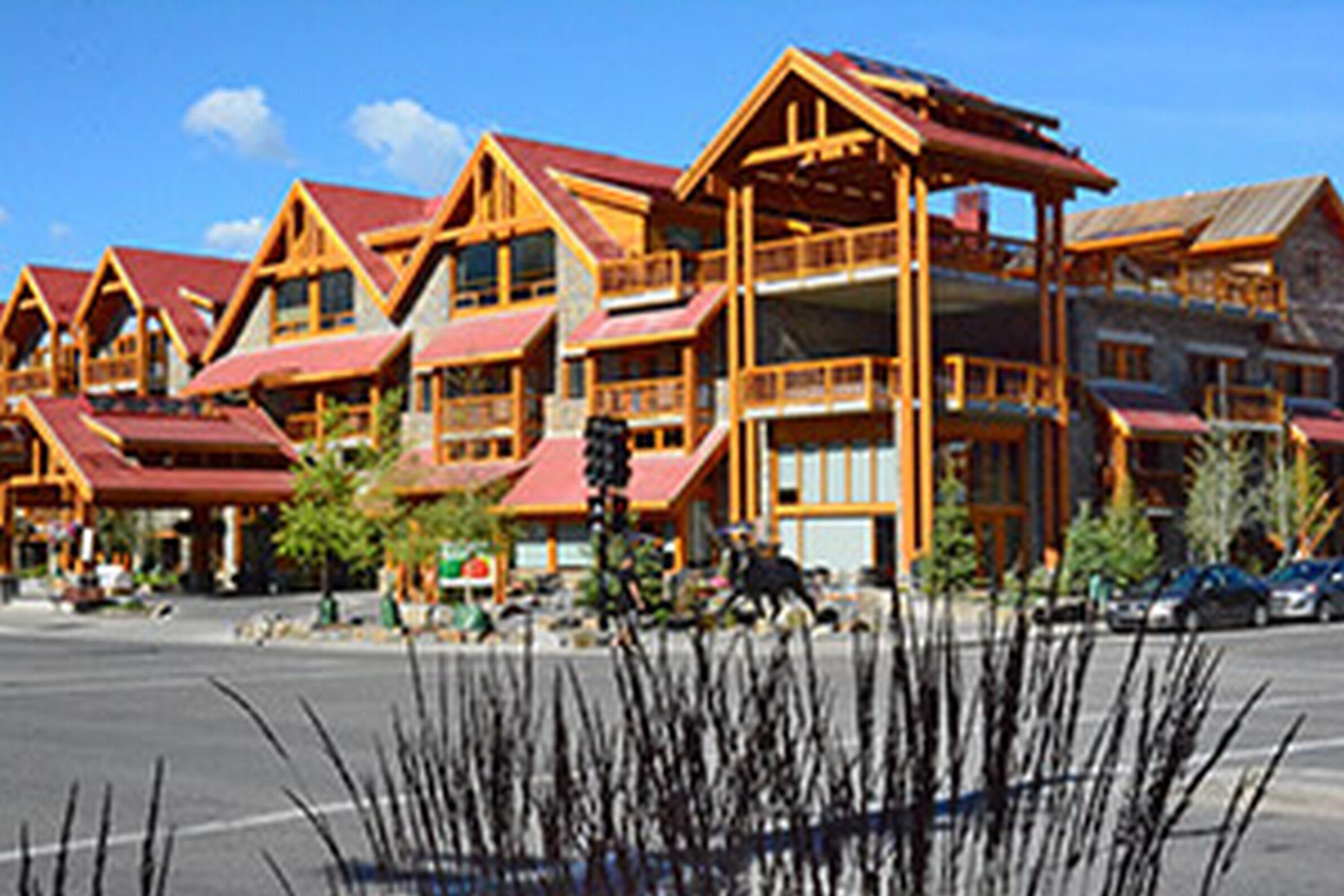Moose And 4* Banff