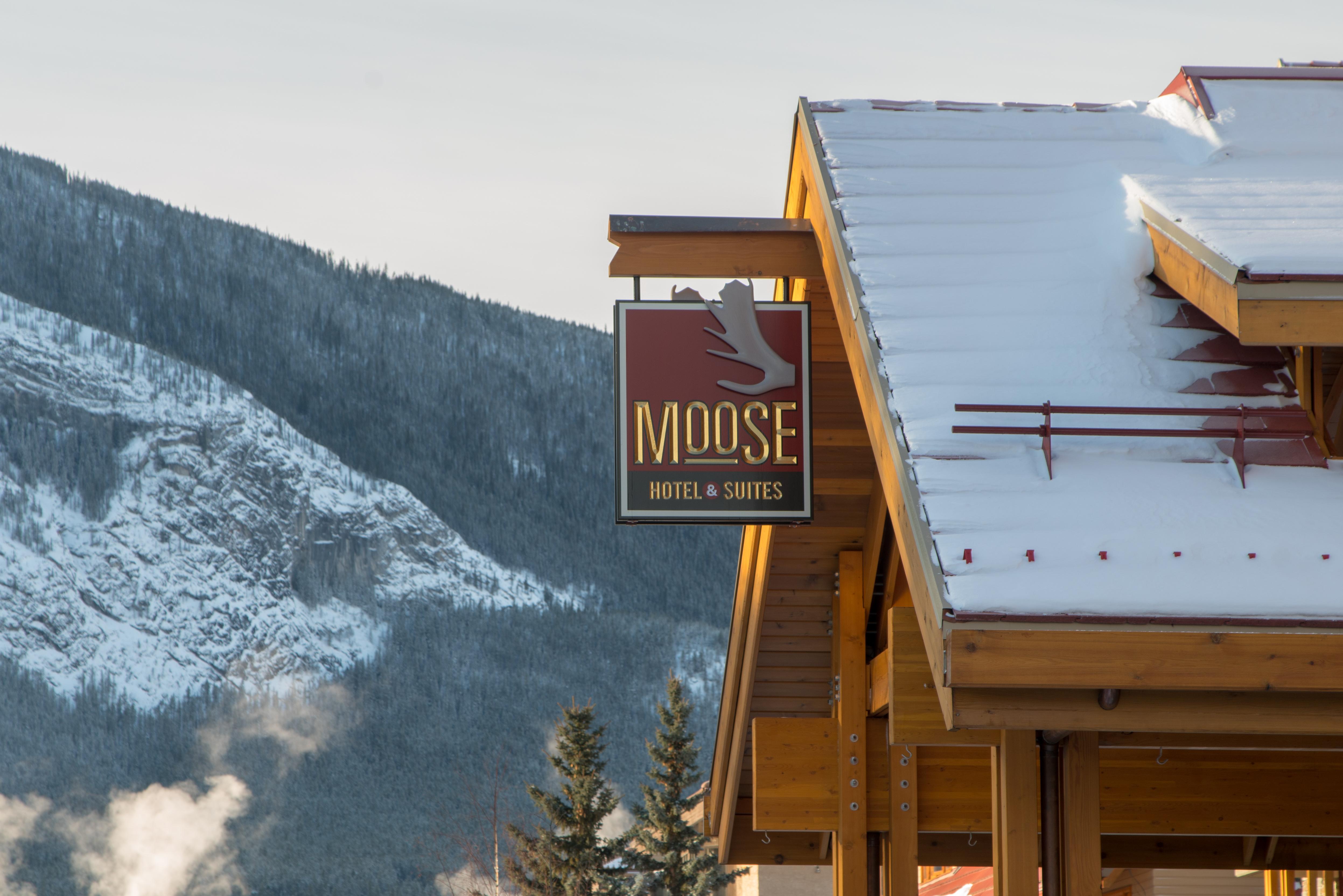 Hotel Moose And 4*