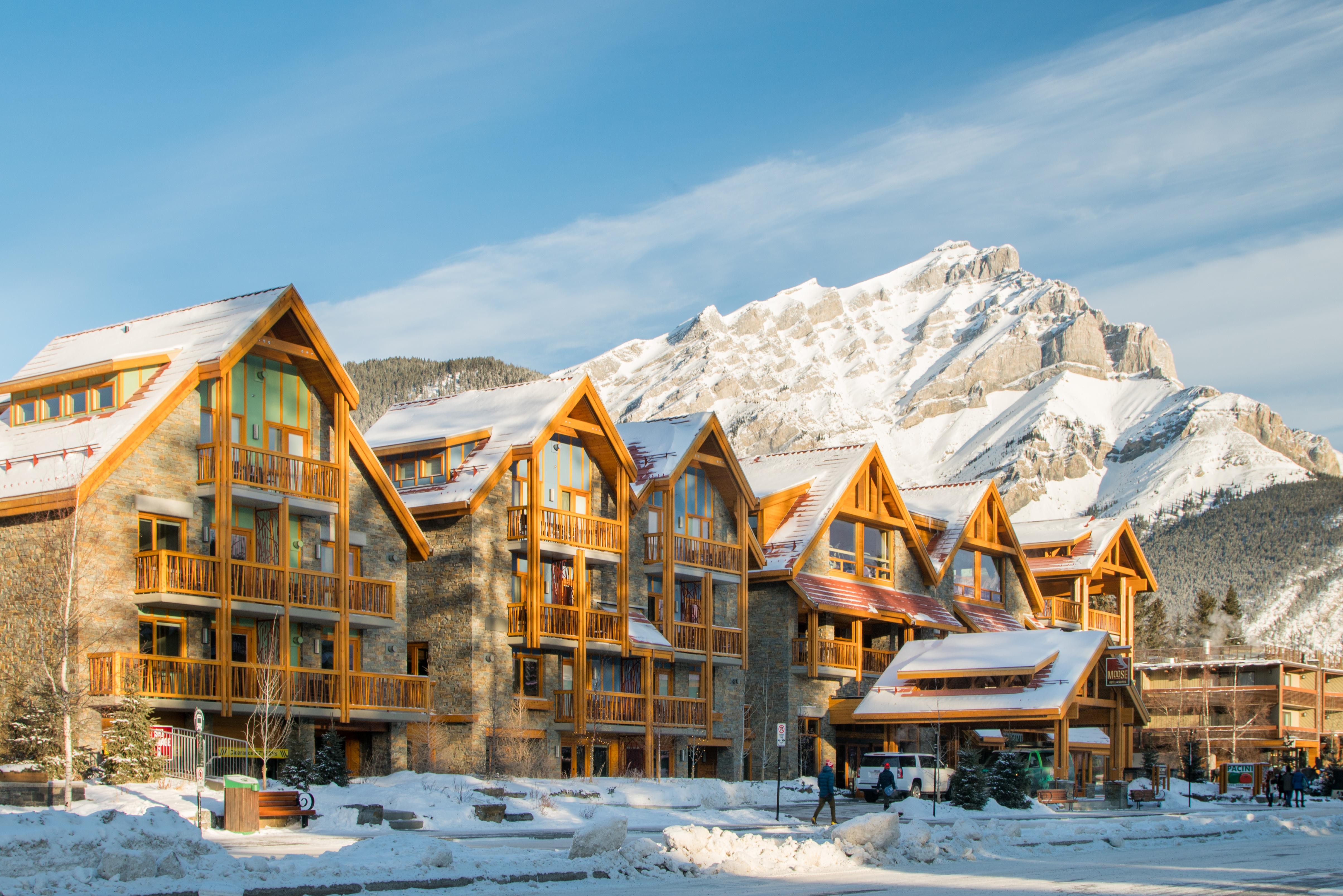 Moose And Hotel Banff