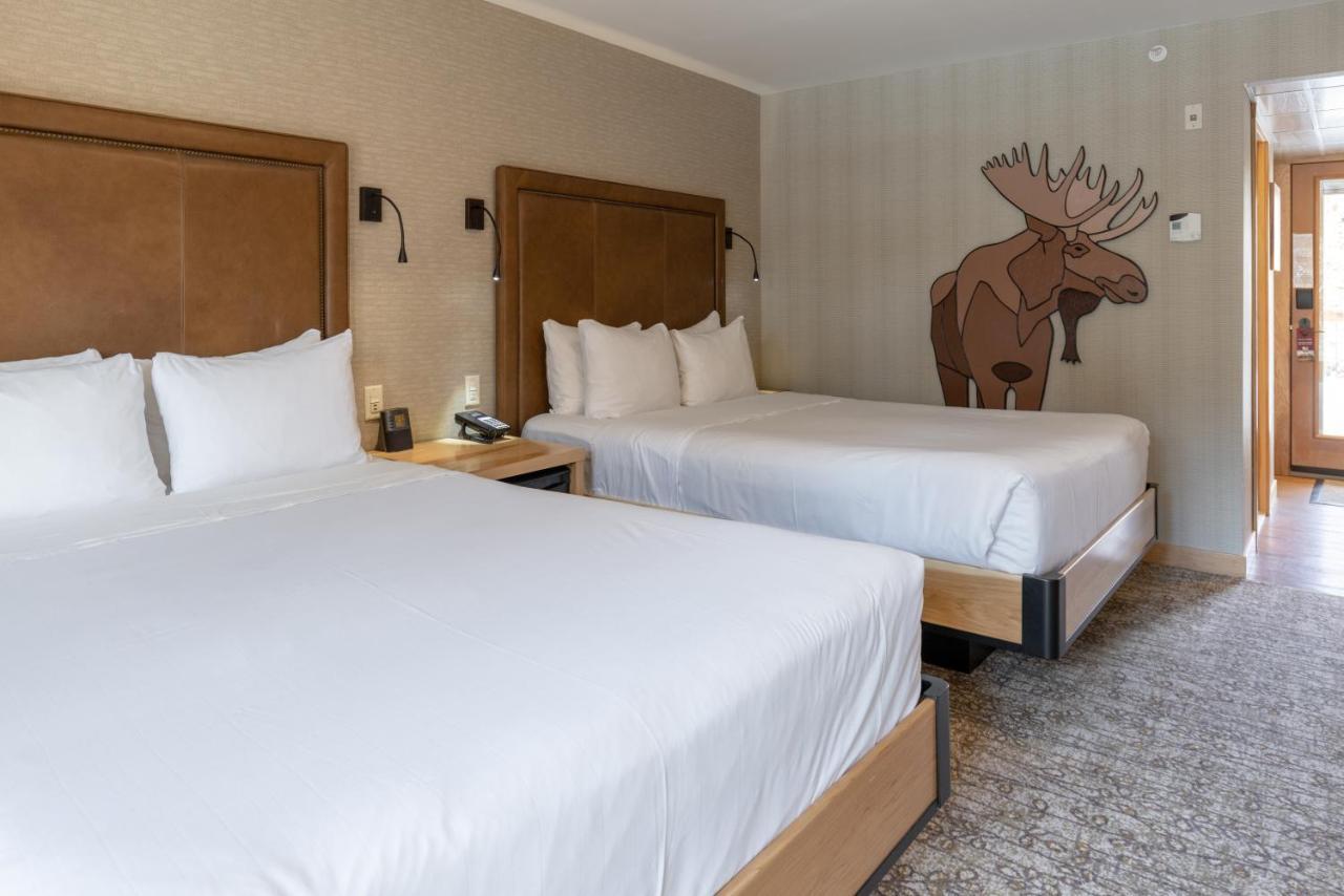 Moose And Hotel