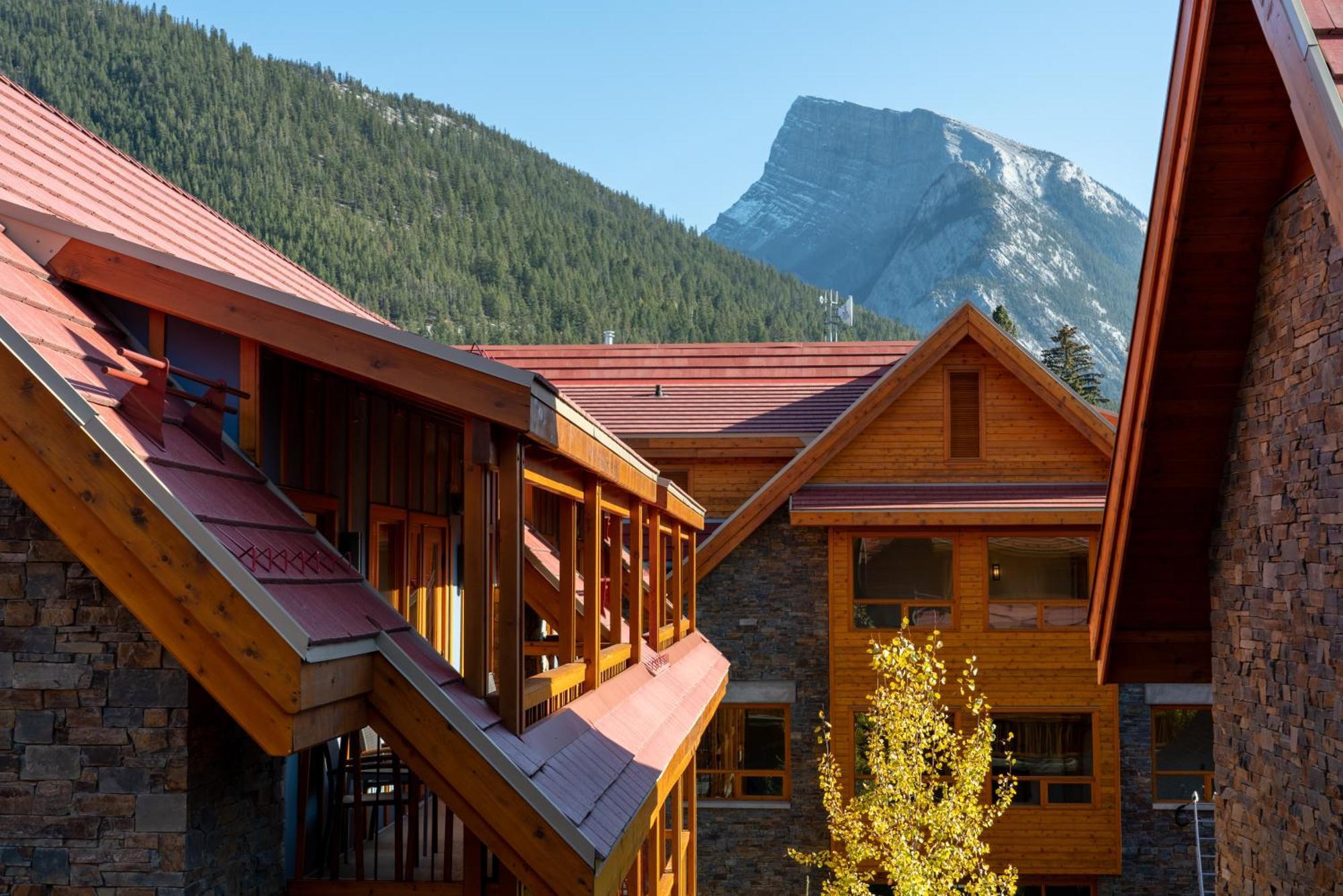 Moose And 4* Banff