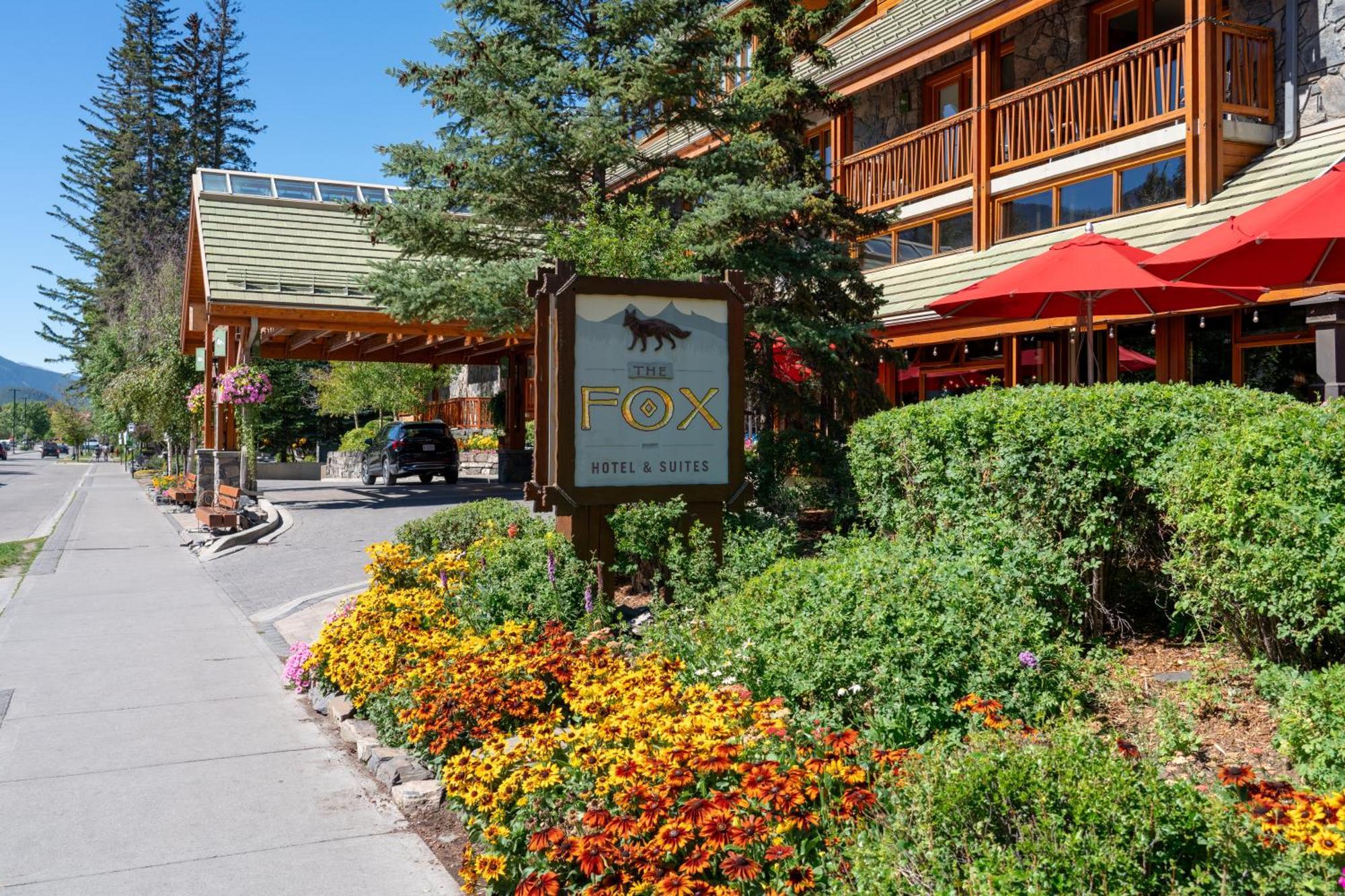 Fox And Hotel