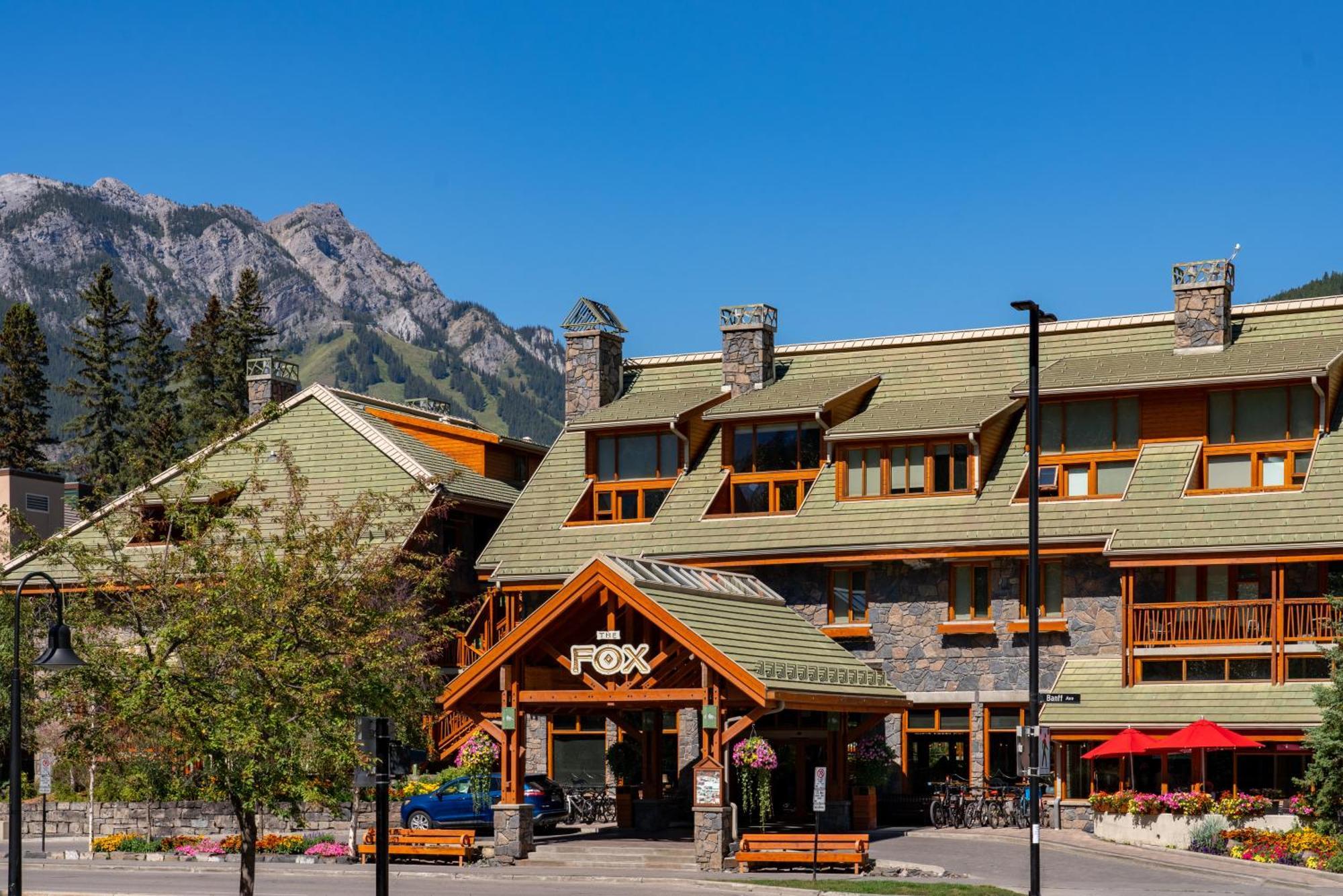 Fox And Banff