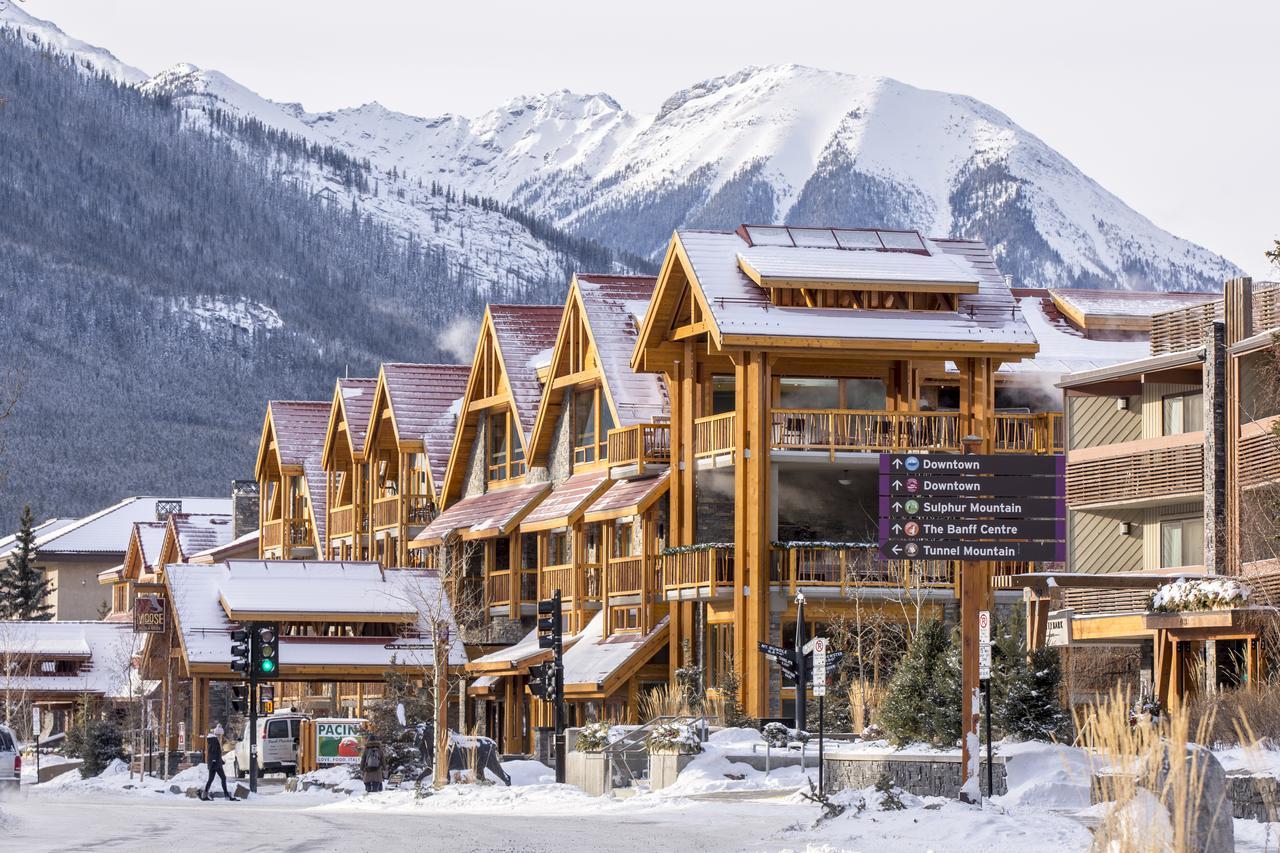 Hotel Moose And 4*