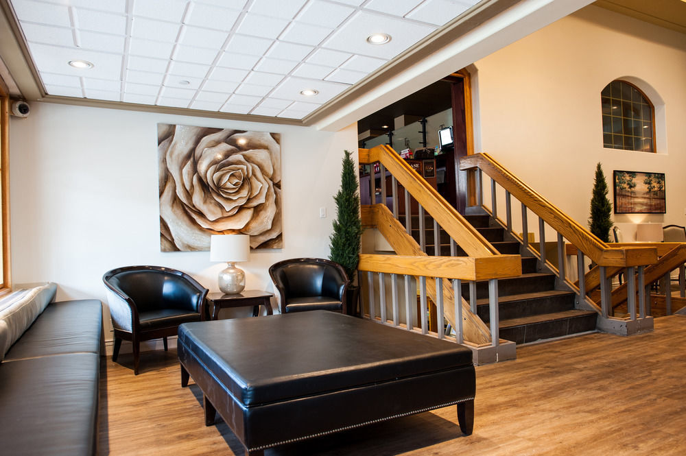 Hotel Mount Royal 3*