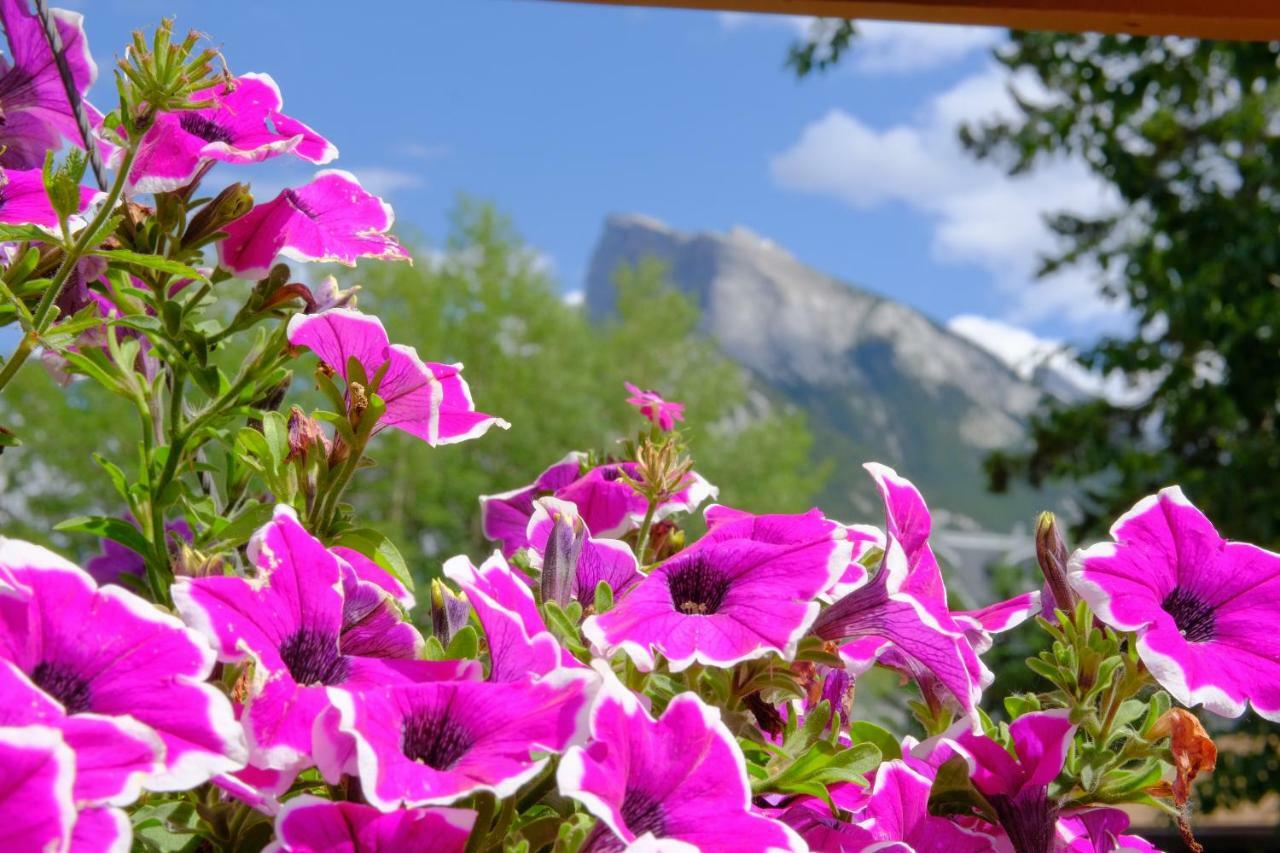 Riverfront Estate * Banff