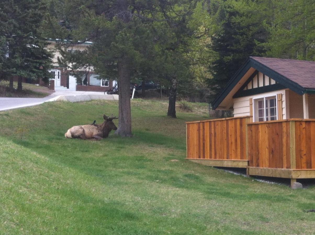 Hillside Holiday park 2*