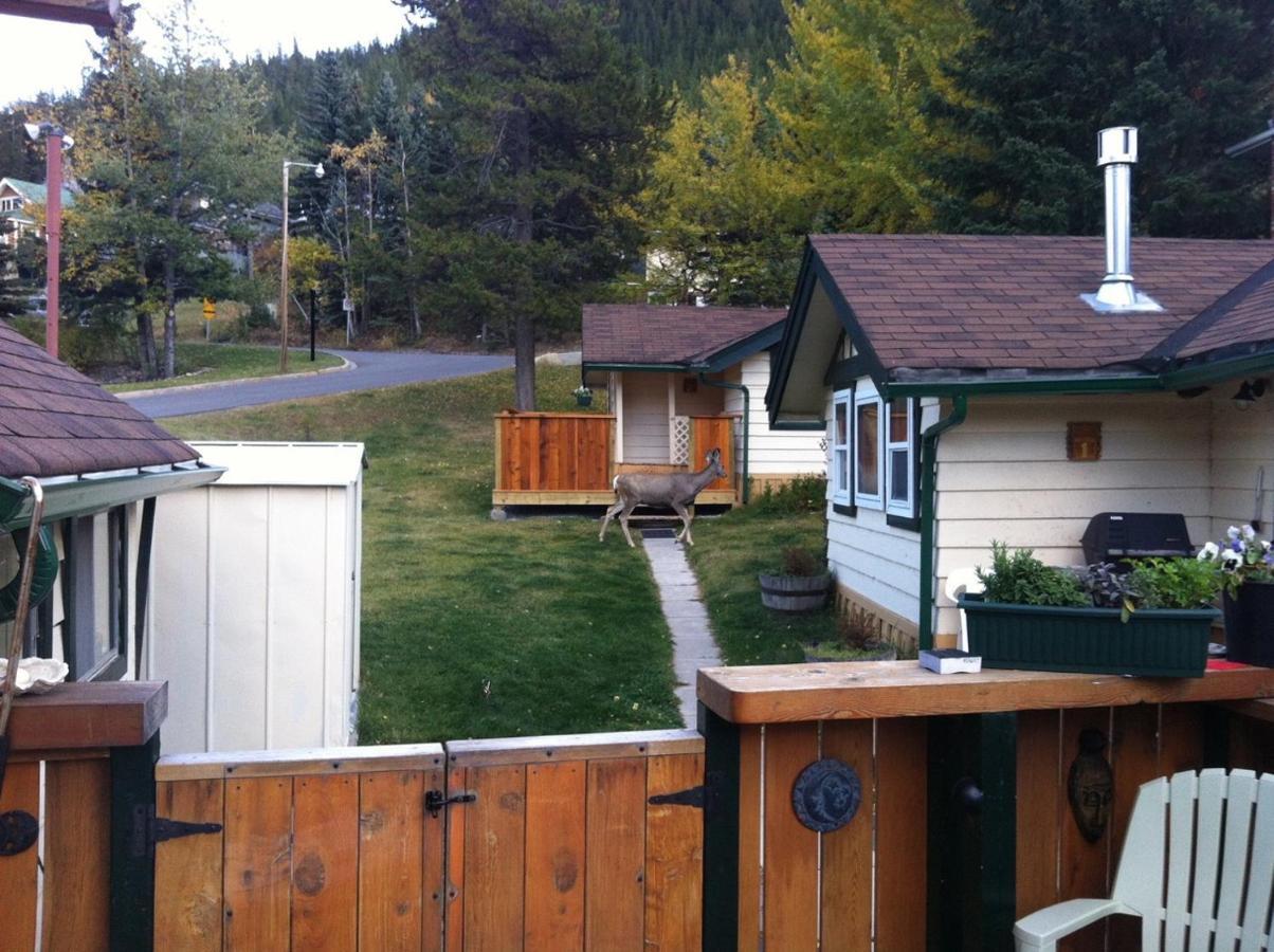 Hillside Holiday park