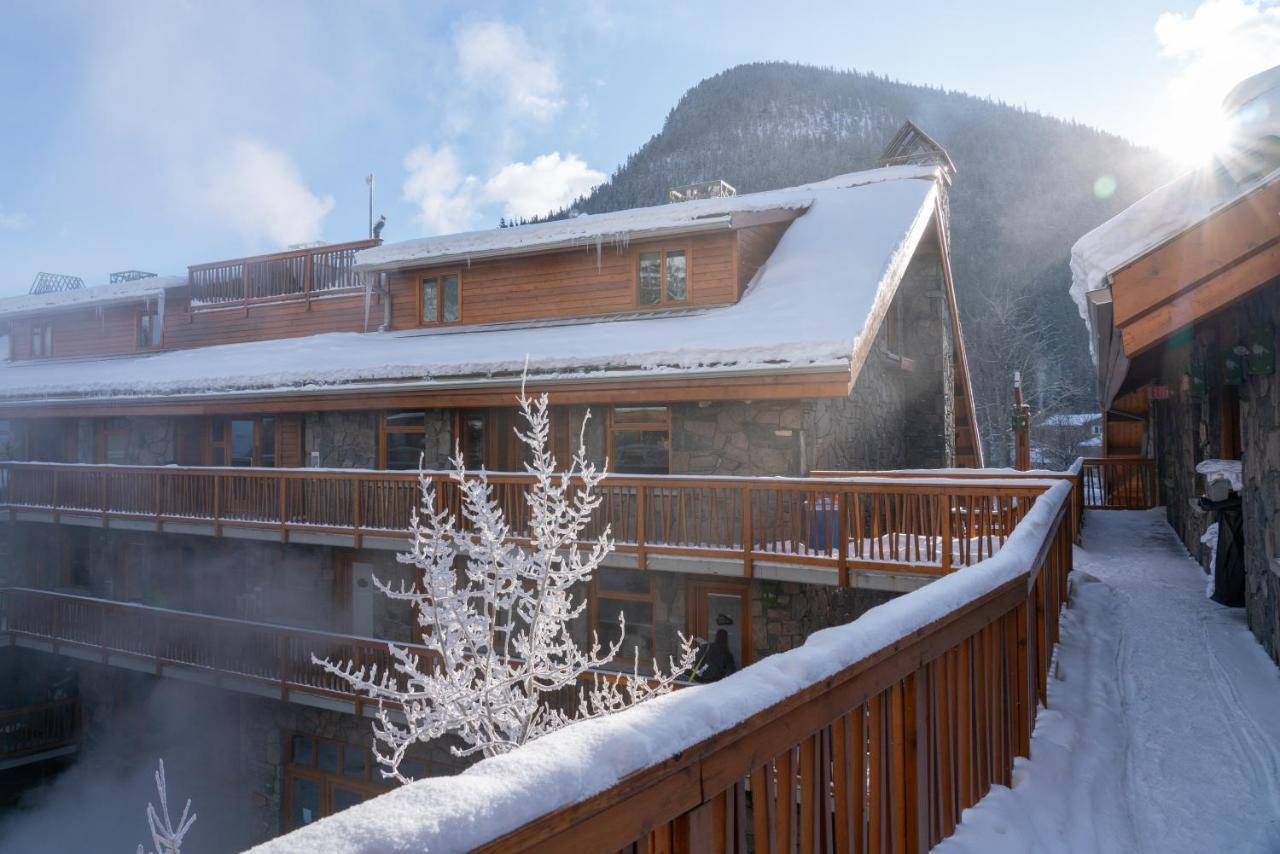 Hotel Fox And 4*