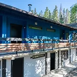 The Dorothy Motel
