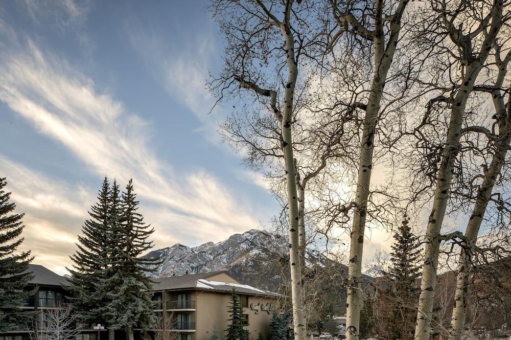 Homestead 2* Banff