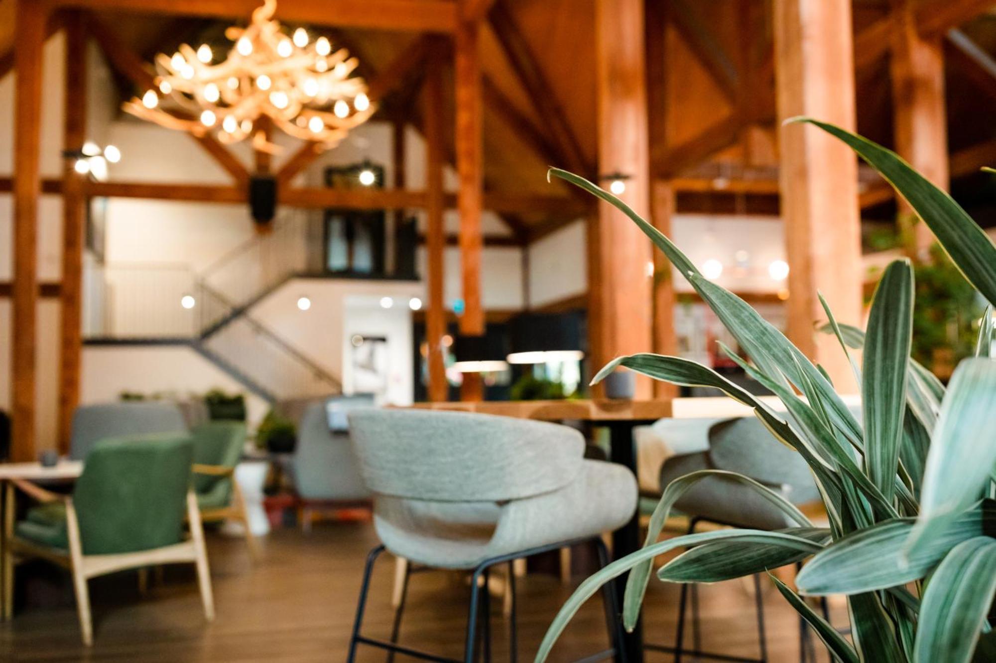 Buffalo Mountain Hotel