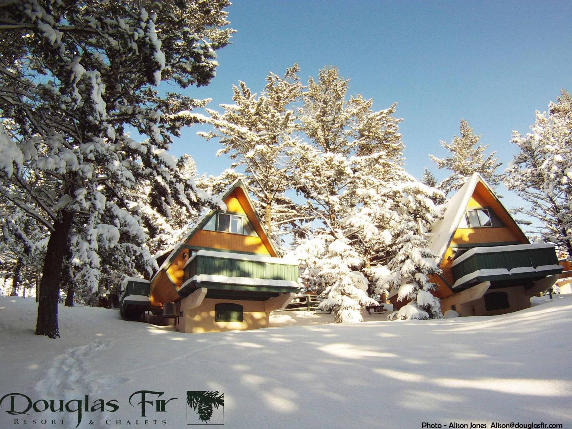 Douglas Fir & Hotel