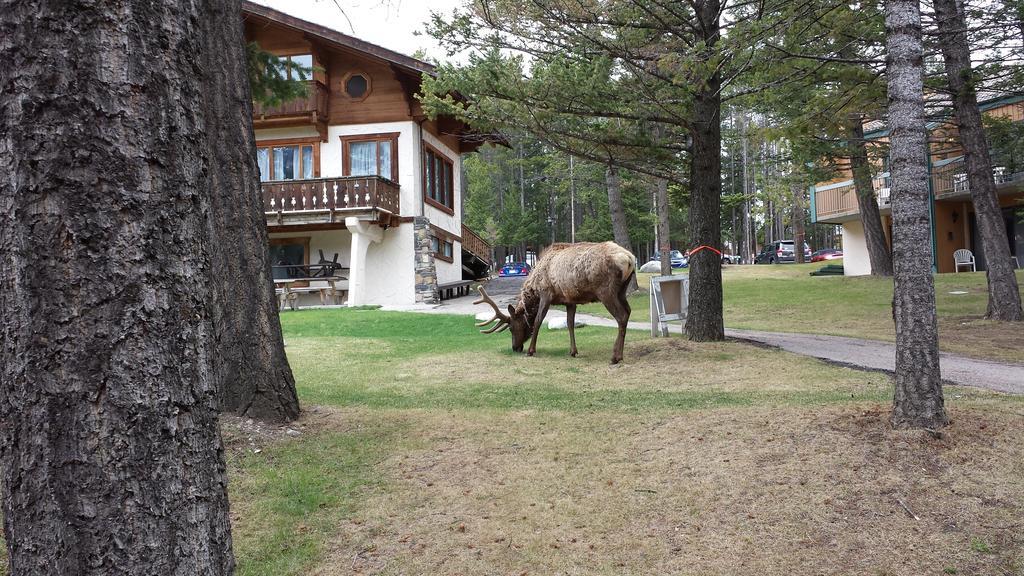 Douglas Fir & Hotel