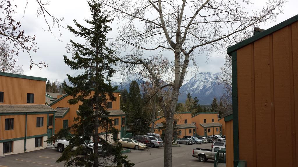 Douglas Fir & 3* Banff