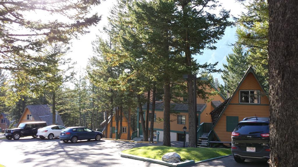 Douglas Fir & Hotel 3*