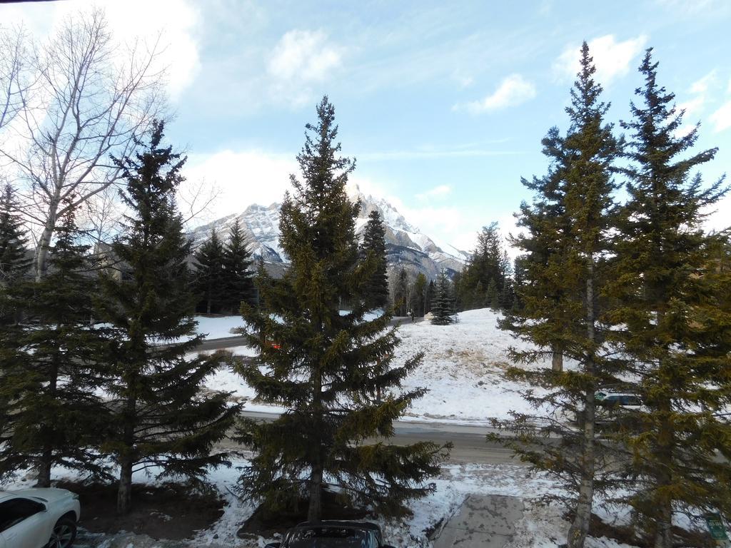 Douglas Fir & Hotel