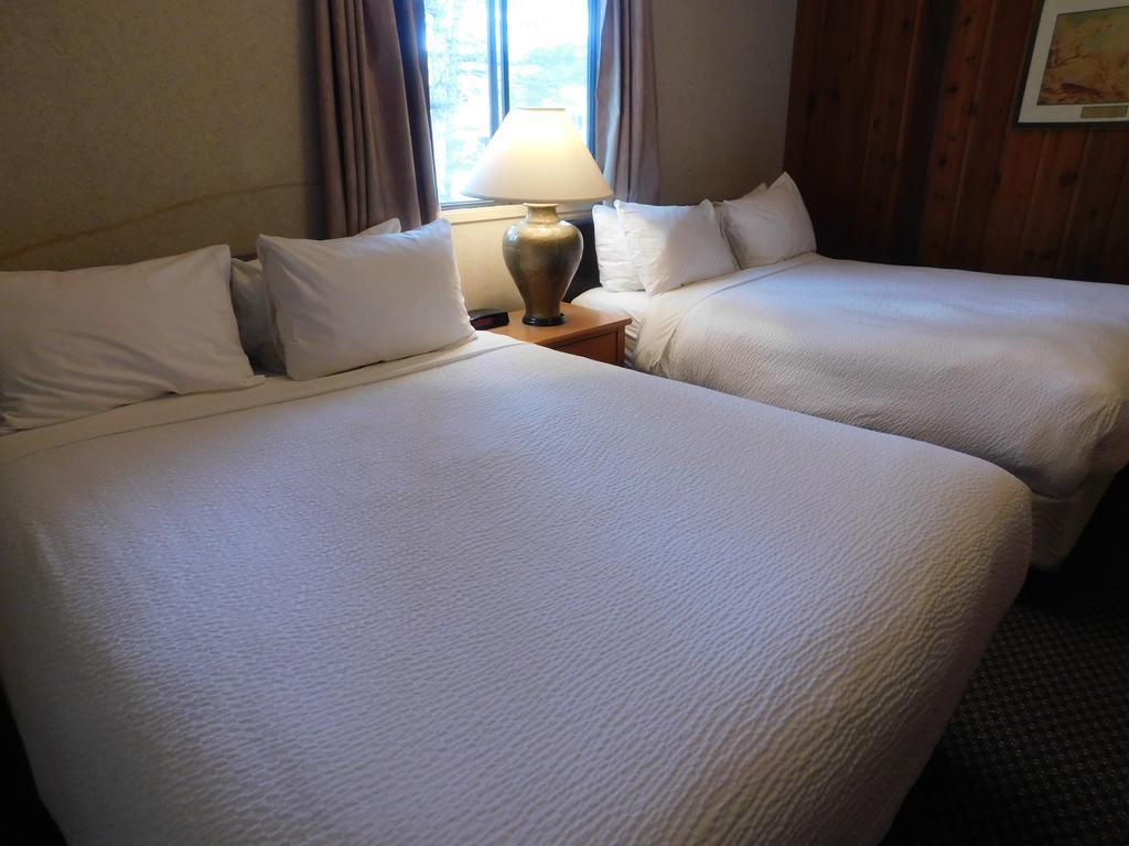 Douglas Fir & Hotel Banff
