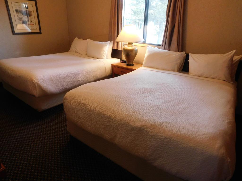 Douglas Fir & Hotel Banff
