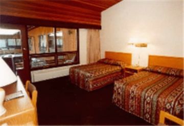 Motel The Dorothy