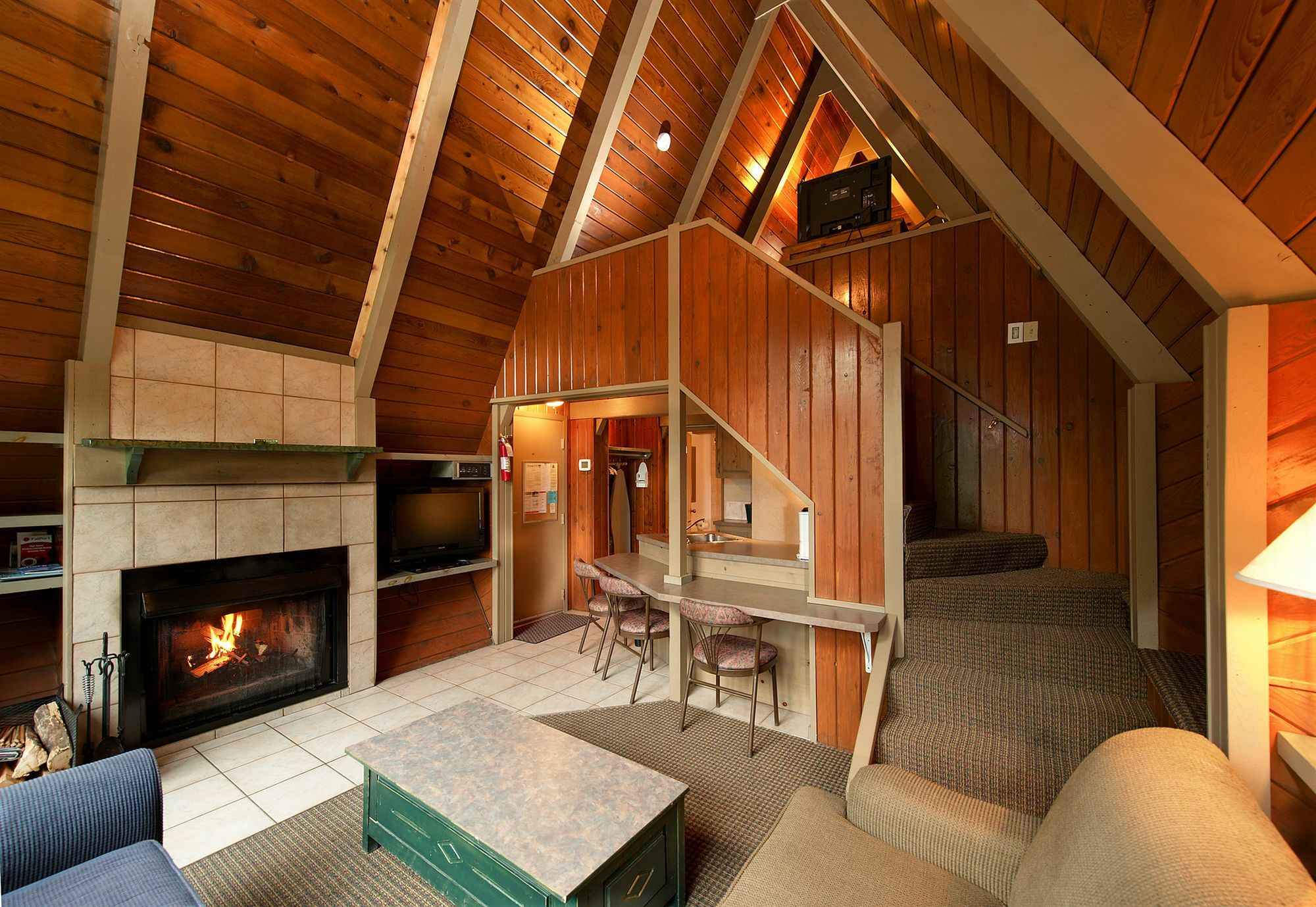 Douglas Fir & Hotel Banff